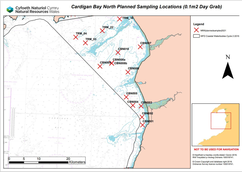 TremadogBaySurvey2