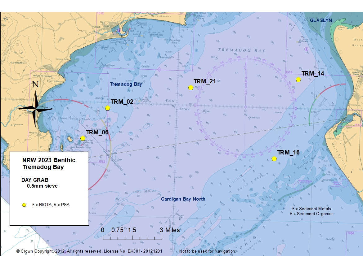 2023 Tremadog Bay benthic sites